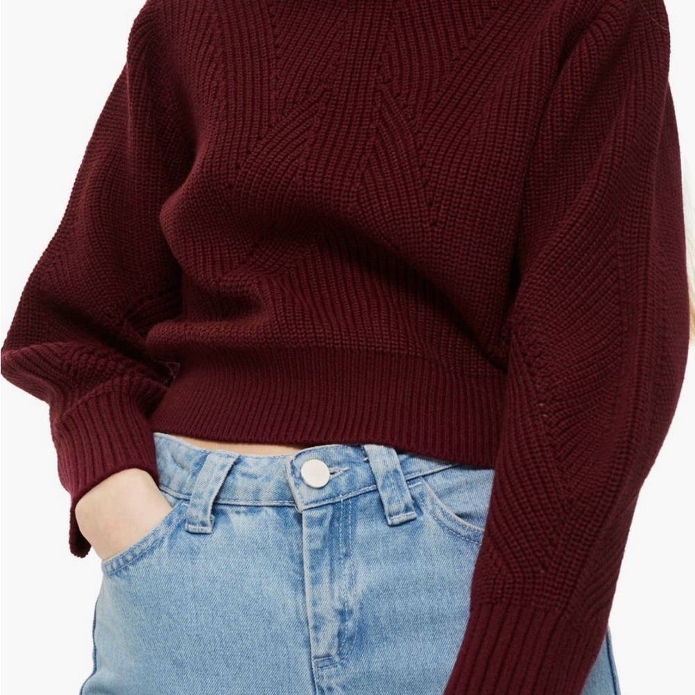 Topshop Deep Burgundy Turtleneck Sweater